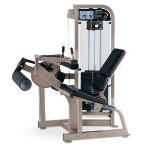 Life Fitness Pro 2 Leg Curl - Reconditioned
