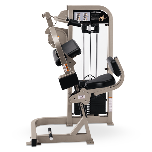 Life Fitness Pro 2 Triceps Extension