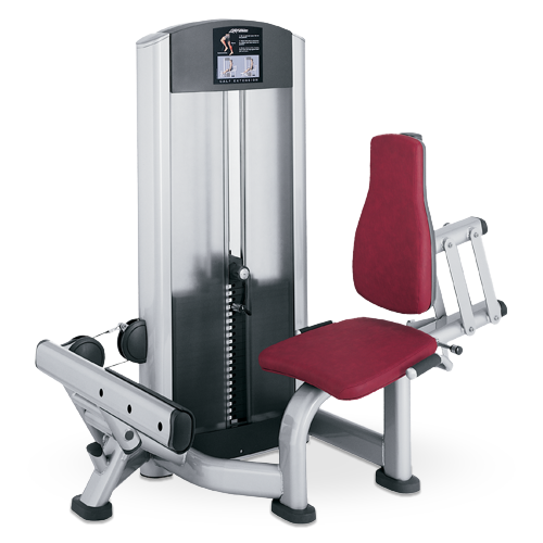 Life Fitness Signature Calf Extension - Reconditioned
