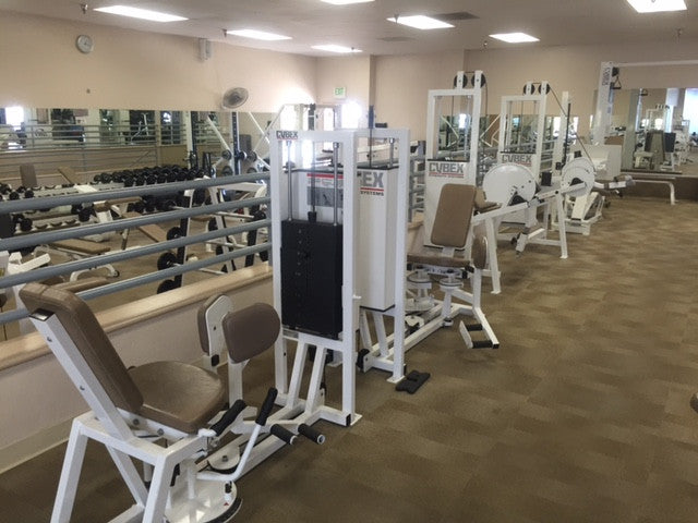 cybex classic CYBEX Classic Full Club Gym – Fit4Sale.com