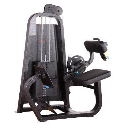 Precor Icarian Back Extension - Reconditioned