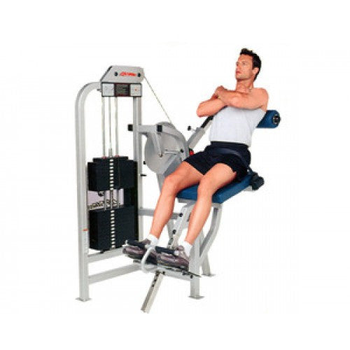 Life Fitness Pro Back Extension